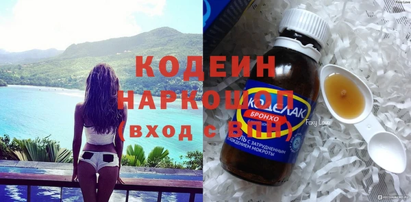 прущие грибы Корсаков