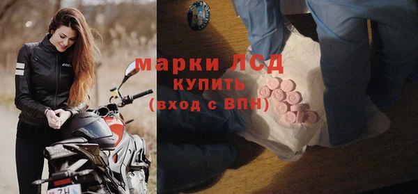 ПСИЛОЦИБИНОВЫЕ ГРИБЫ Алзамай