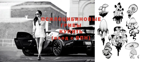 ПСИЛОЦИБИНОВЫЕ ГРИБЫ Алзамай