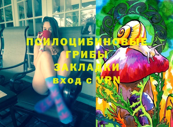 соль ск Алексеевка